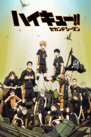 Haikyuu!! Second Season Dublado